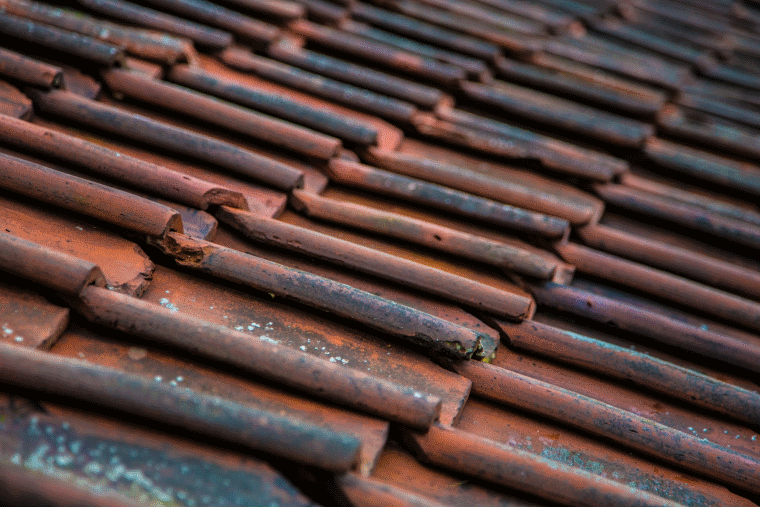 damaged shingle roof