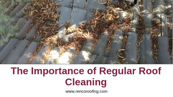 Importance of Regular Roof Cleaning