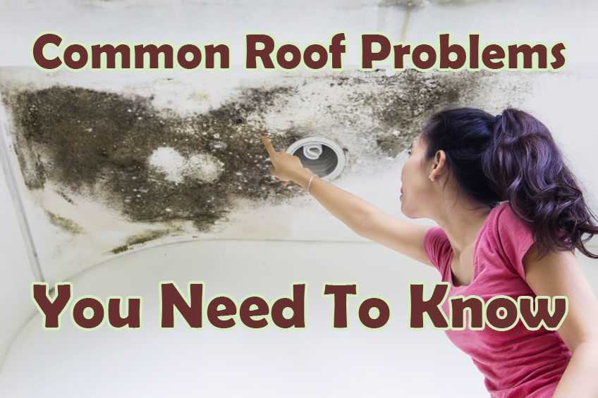 common roof problems you need to know