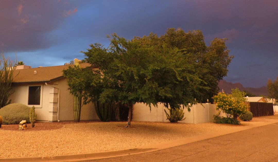 5 Tips to Protect Your Phoenix Roof From Monsoon Weather