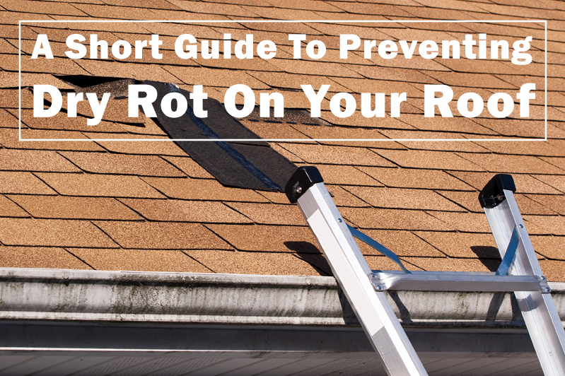 A Guide for Preventing Dry Rot on Your Phoenix Roof