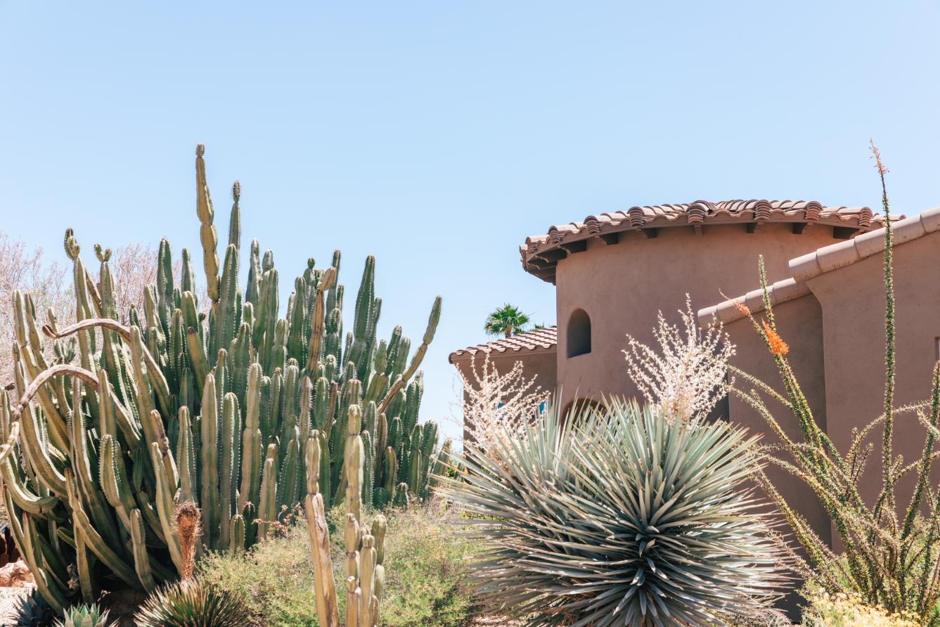 Phoenix Home with Tile Roof