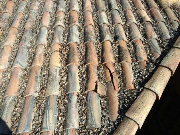 A damaged roof with visible signs of wear and tear.