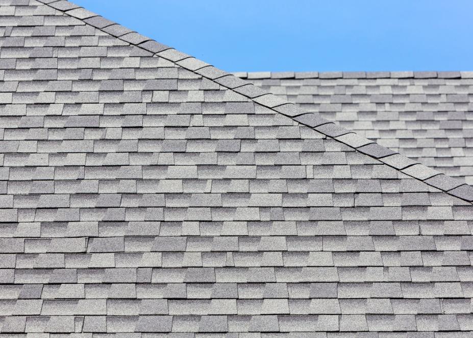 Shingle Roof