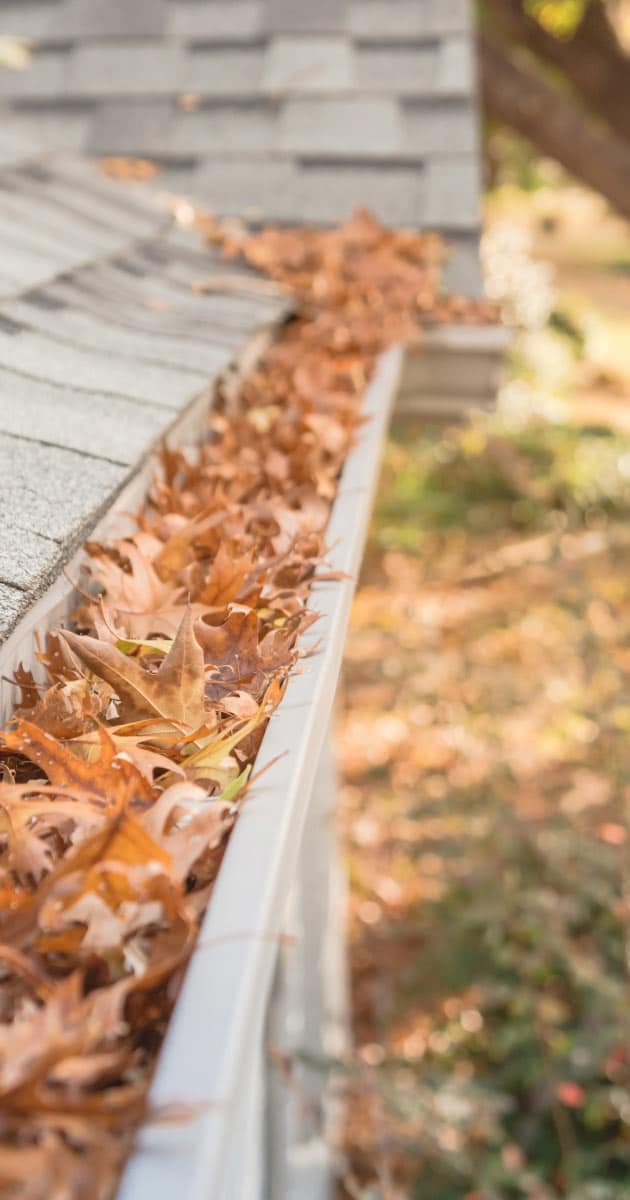 Gutter filled with Autumn leaves