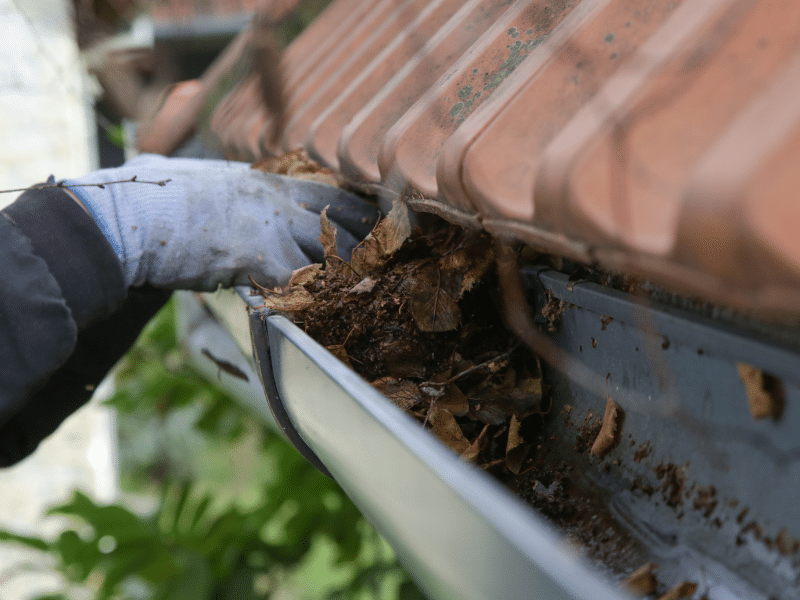 Rain gutter cost and maintenance