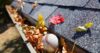 Importance of Gutter Maintenance in Phoenix