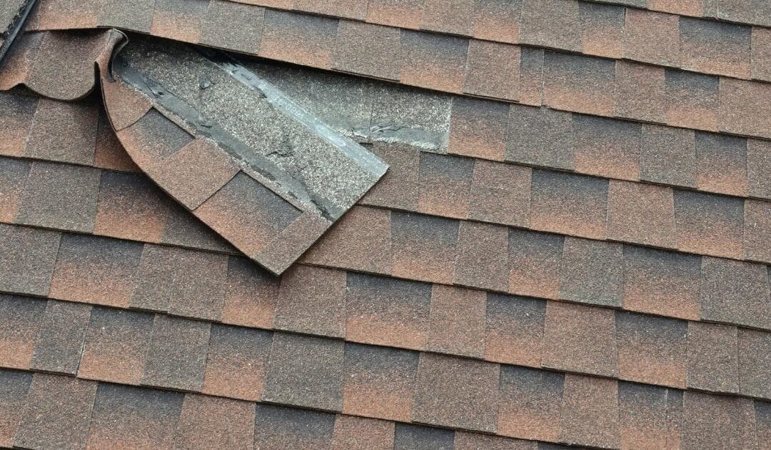 3 Most Effective DIY Roof Repairs for Beginners