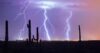 3 Tips for Homeowners on How to do Pre-Monsoon Prep